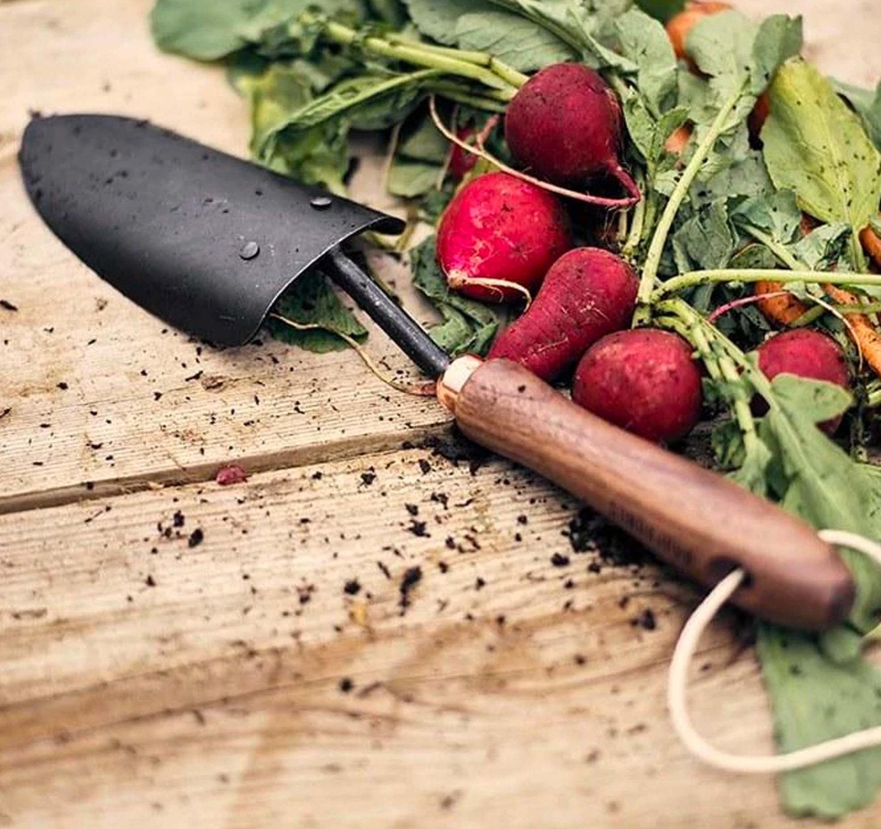 Garden Trowel