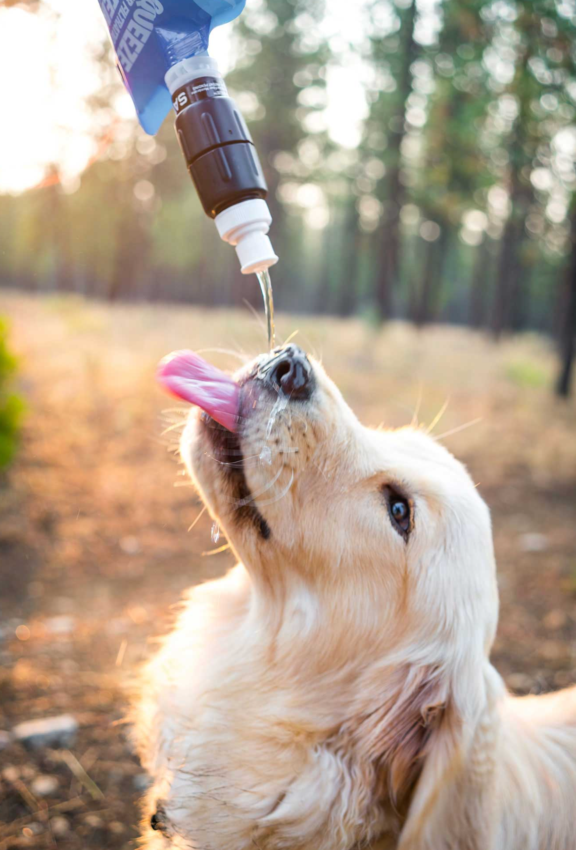 MICRO SQUEEZE WATER FILTRATION SYSTEM