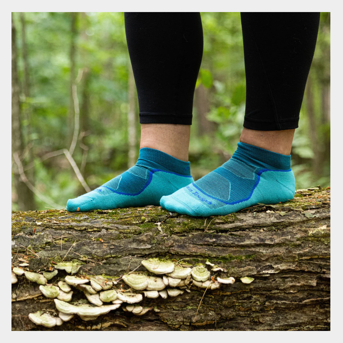 Women's | Light Hiker No Show | Lightweight Hiking/Trek