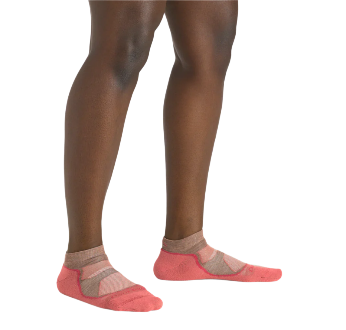 Women's | Light Hiker No Show | Lightweight Hiking/Trek