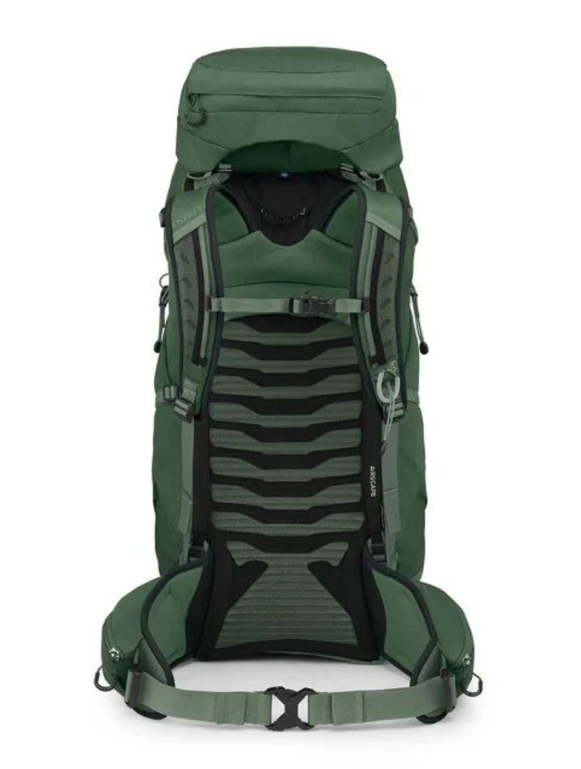 Talon™ 44