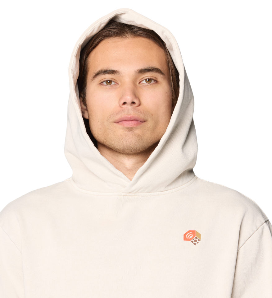 Men's Tri-Color Logo Hoody