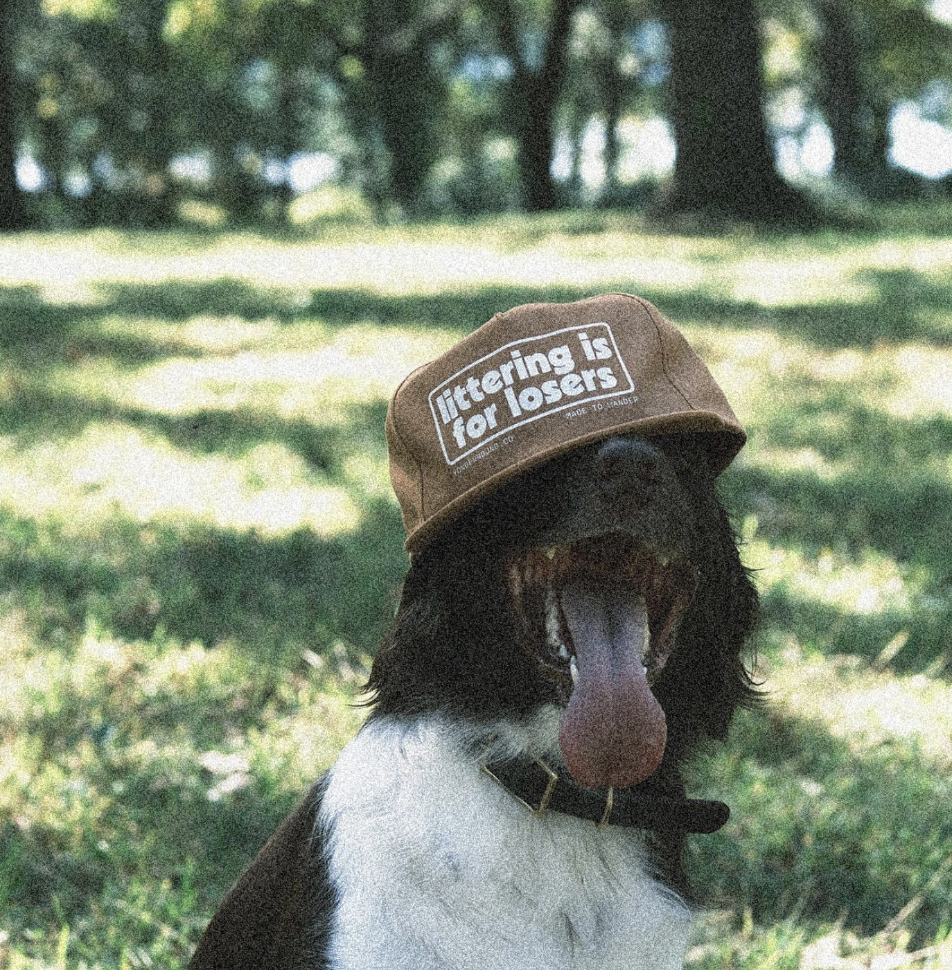 Littering Is For Losers Hat