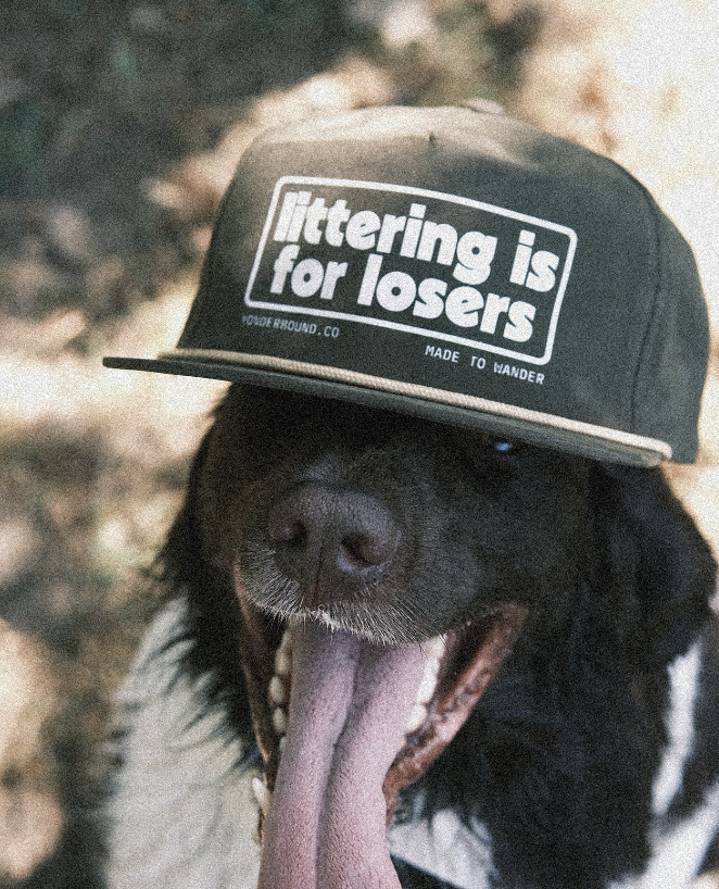 Littering Is For Losers Hat