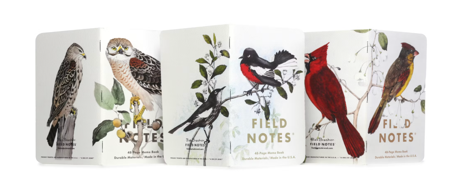 Birds and Trees of North America | 3-Pack