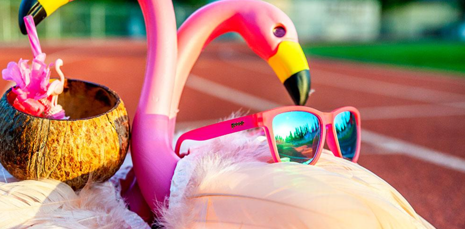 Flamingos on a Booze Cruise