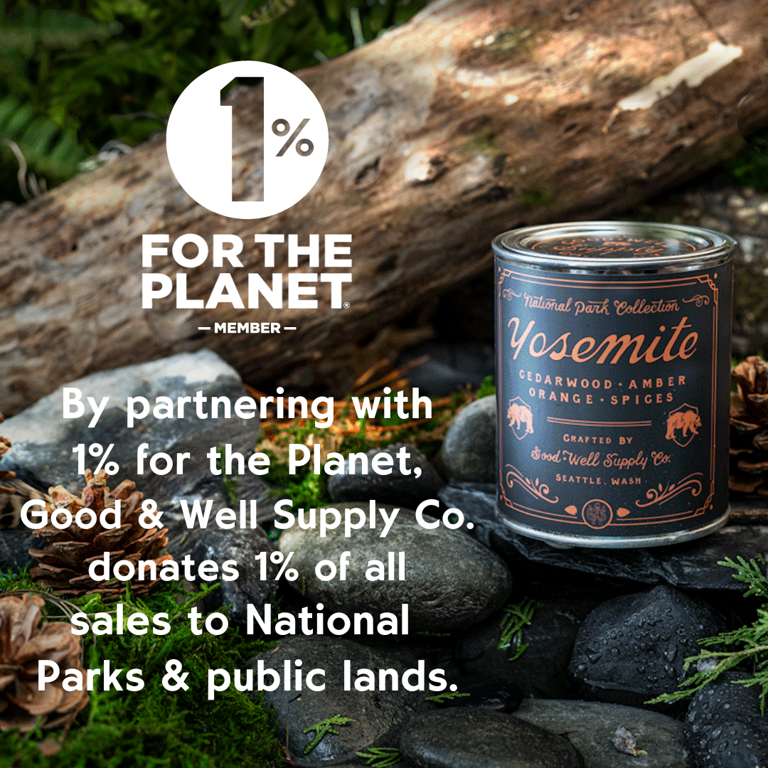 Denali National Park Candle: Pint