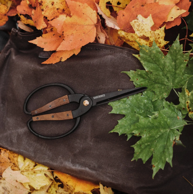 Walnut Garden Scissors