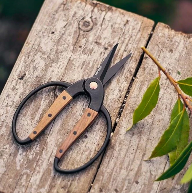 Walnut Garden Scissors