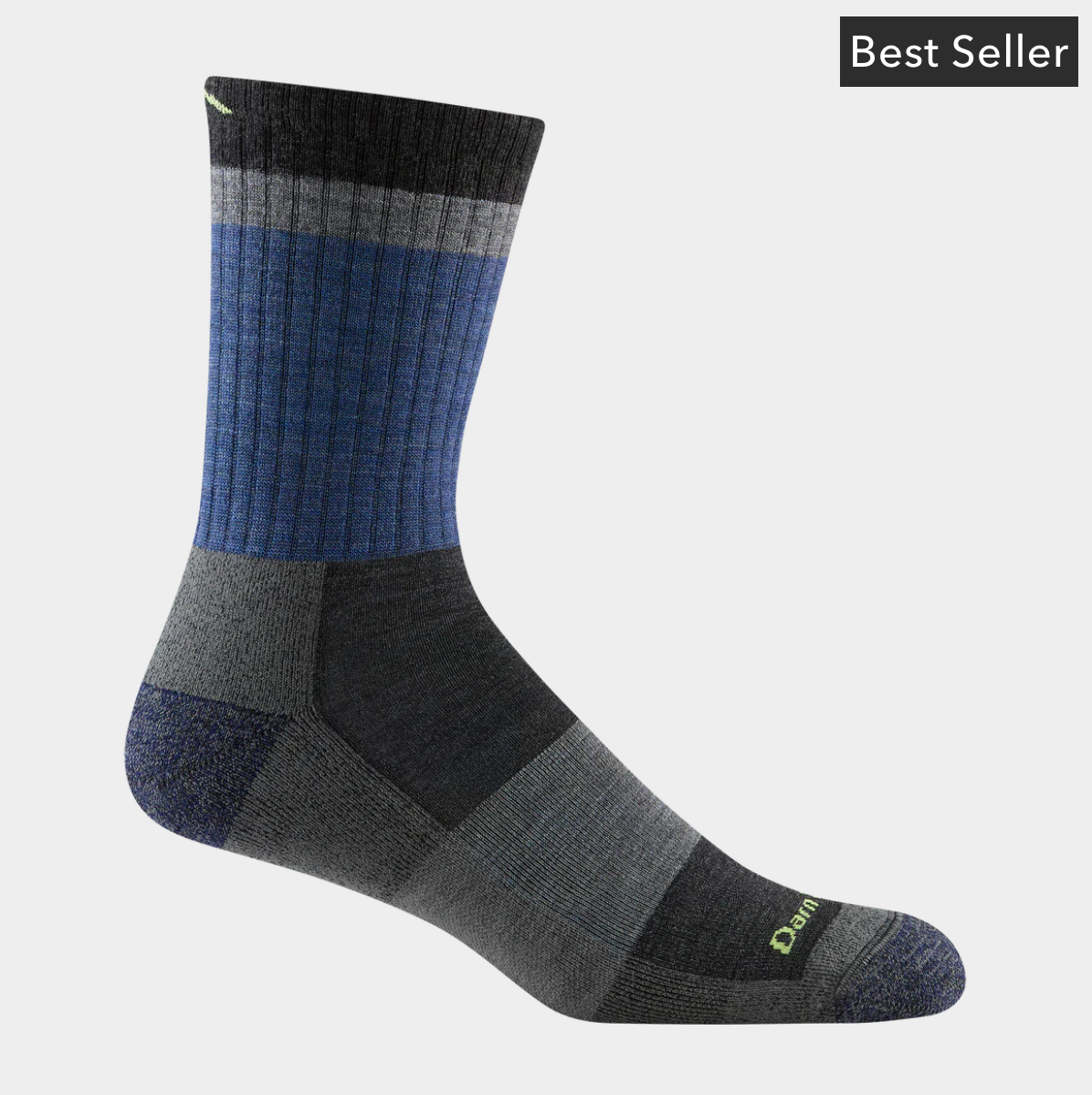 Men's | Heady Stripe Micro Crew Lightweight Hiking Sock