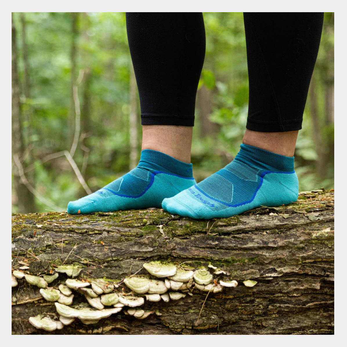 Women's | Light Hiker No Show Lightweight Hiking Sock