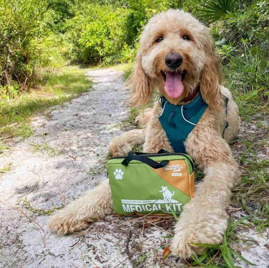 Adventure Dog Medical Kit | Trail Dog