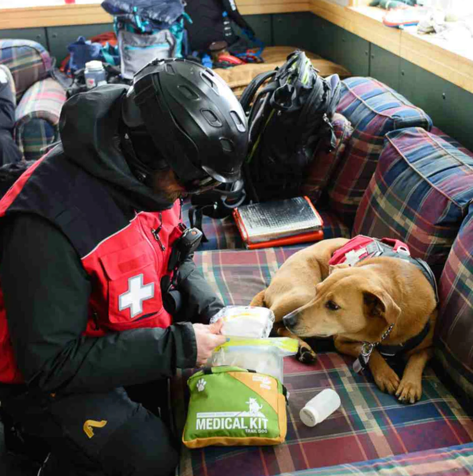 Adventure Dog Medical Kit | Trail Dog
